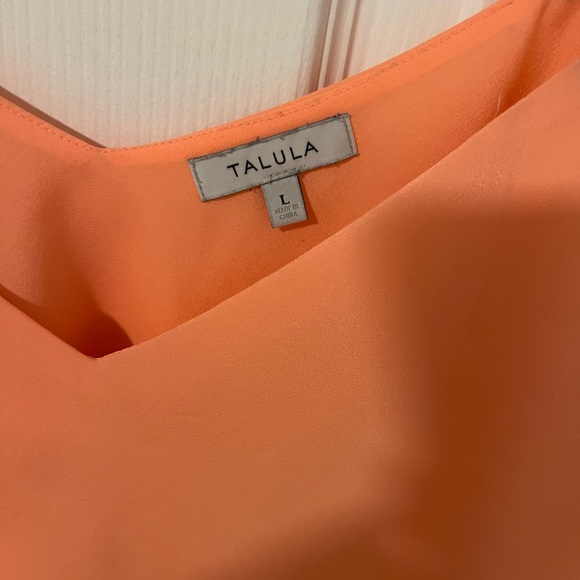 Aritzia Talula Camisole - Picture 2 of 4